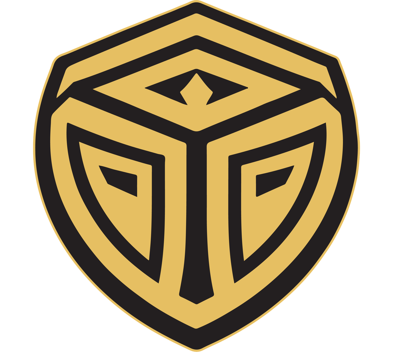 Tobit International Logo